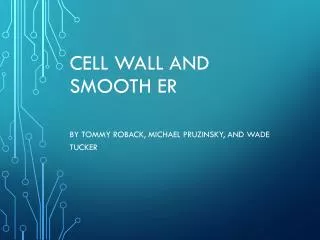 Cell Wall and Smooth ER