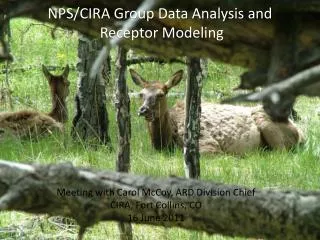 NPS/CIRA Group Data Analysis and Receptor Modeling