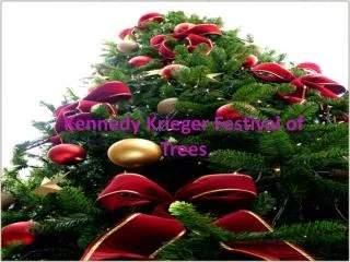 Kennedy Krieger Festival of Trees