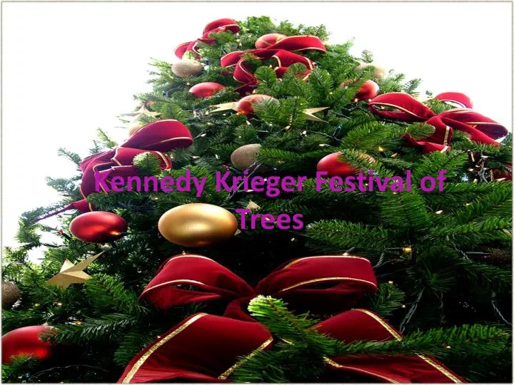 kennedy krieger festival of trees