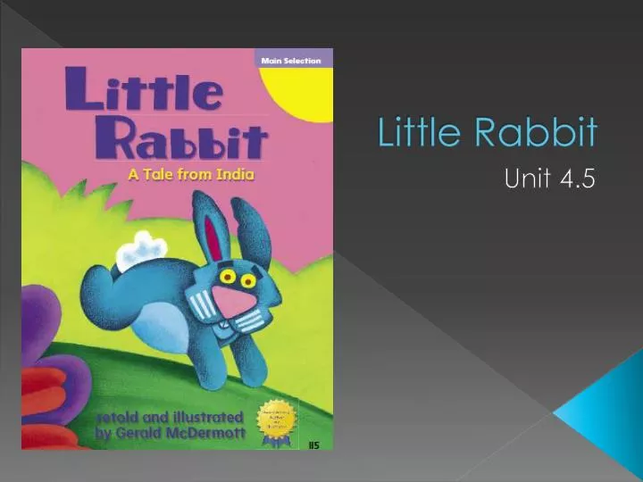 little rabbit