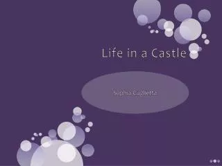 Life in a Castle