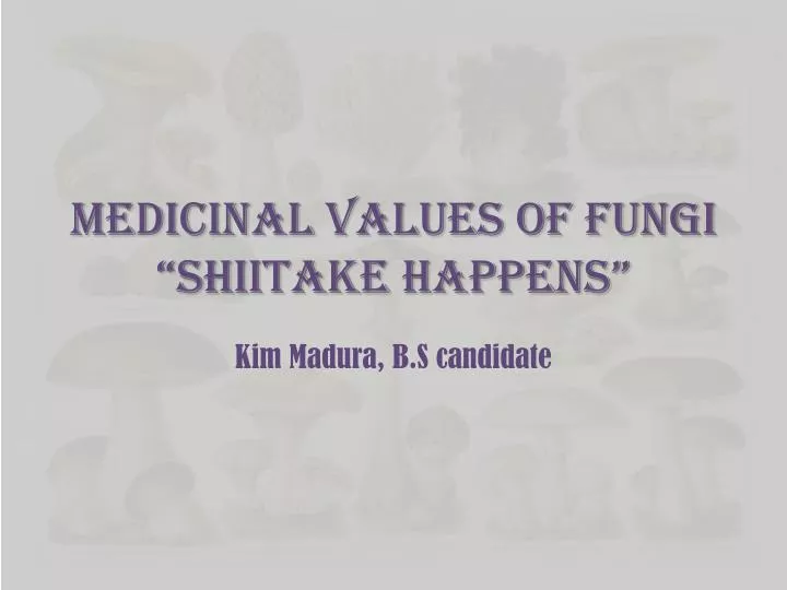 medicinal values of fungi shiitake happens