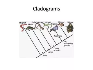 Cladograms