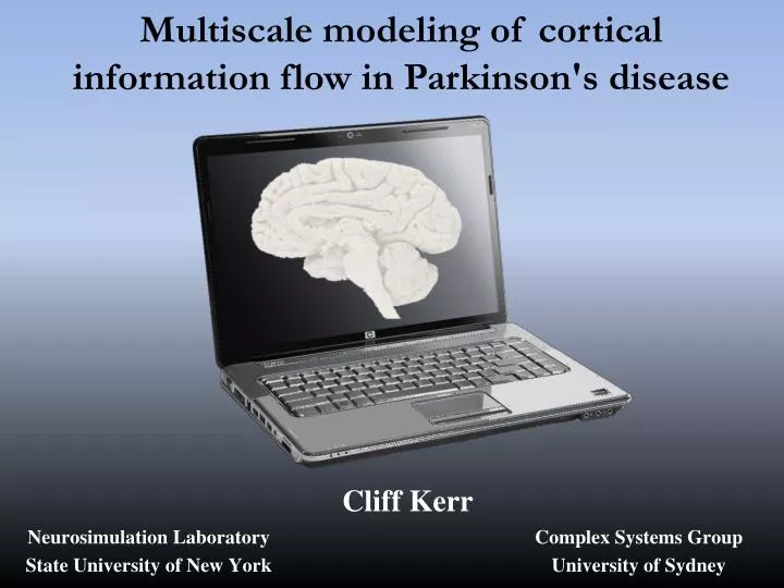 multiscale modeling of cortical information flow in parkinson s disease