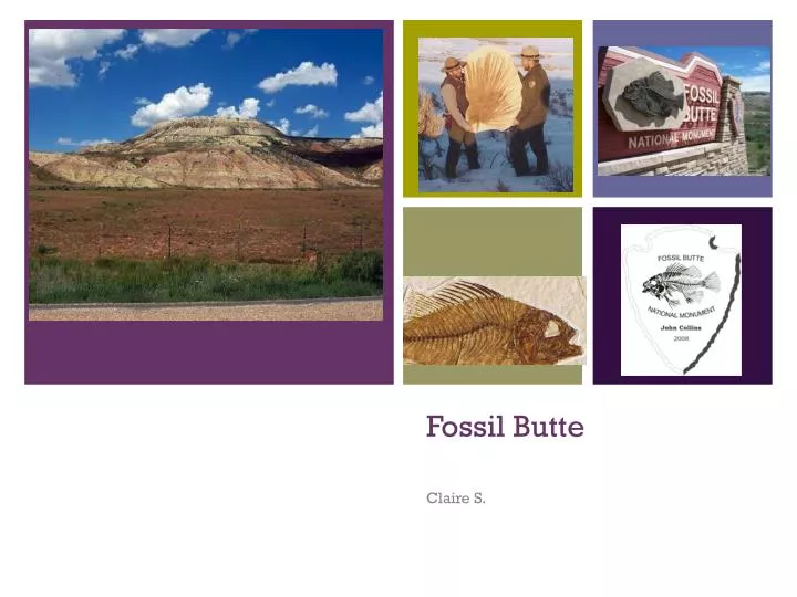 fossil butte