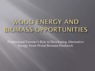 WOOD ENERGY AND BIOMASS OPPORTUNITIES