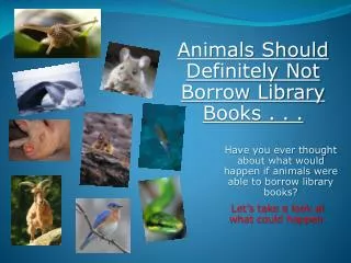 Have you ever thought about what would happen if animals were able to borrow library books?