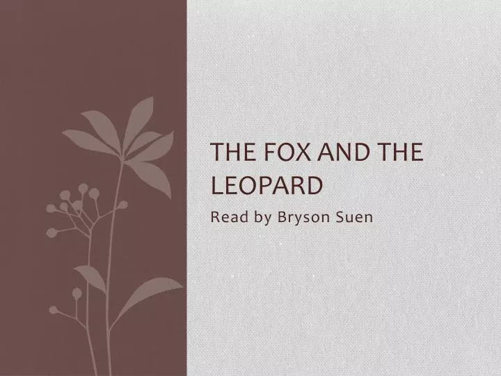the fox and the leopard
