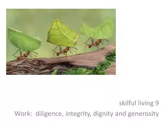 s kilful living 9 Work: diligence, integrity, dignity and generosity