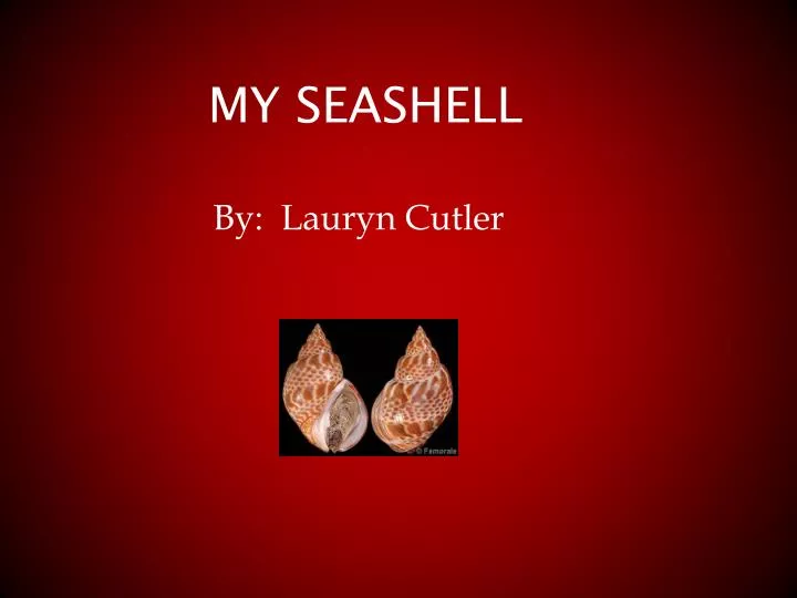 my seashell