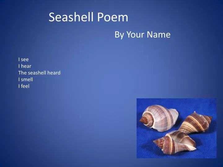 seashell poem