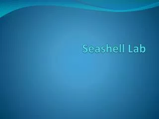 Seashell Lab