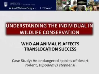 UNDERSTANDING THE INDIVIDUAL IN WILDLIFE CONSERVATION