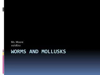 Worms and Mollusks
