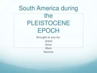 South America during the PLEISTOCENE EPOCH