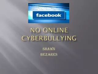 No Online Cyberbullying