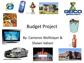 Budget Project
