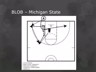 blob michigan state