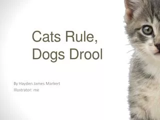 Cats Rule, Dogs D rool