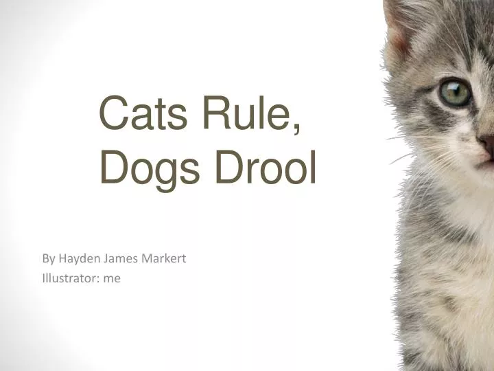 cats rule dogs d rool