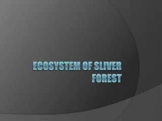 Ecosystem of Sliver forest