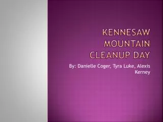Kennesaw Mountain cleanup day