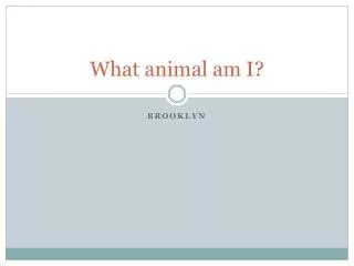 What animal am I?