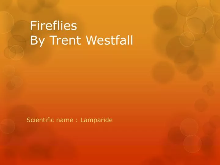 fireflies by trent westfall