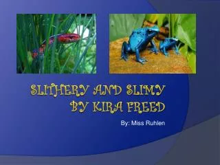 Slithery and slimy by kira freed