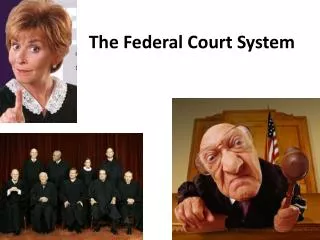 The Federal Court System