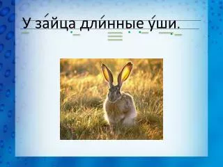 У зайца длинные уши .