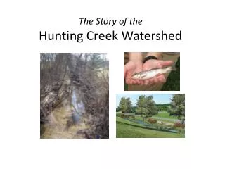 The Story of the Hunting Creek Watershed