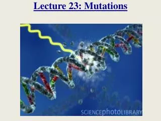 Lecture 23: Mutations