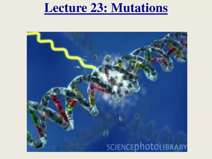 lecture 23 mutations