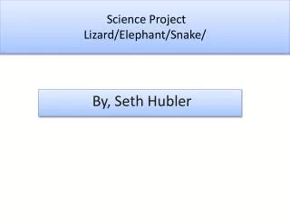 Science Project Lizard/Elephant/Snake/
