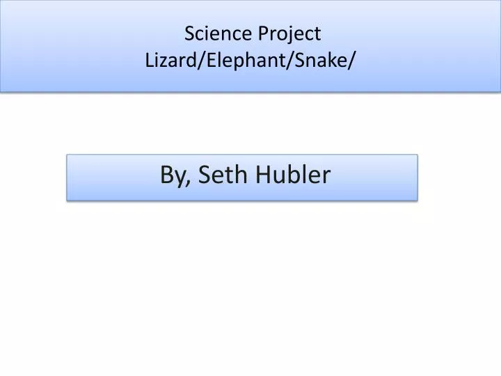 science project lizard elephant snake