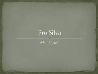 pro s ilva