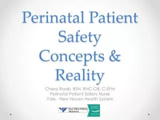 Perinatal Patient Safety Concepts &amp; Reality