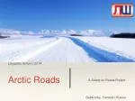Arctic Roads Safety: Essential Tips for Winter Conditions - slide 1