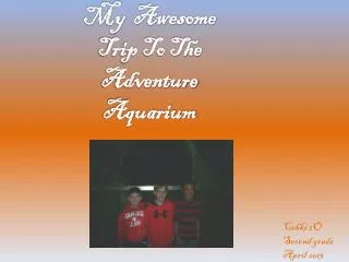 My Awesome Trip To The Adventure Aquarium