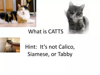 What is CATTS???