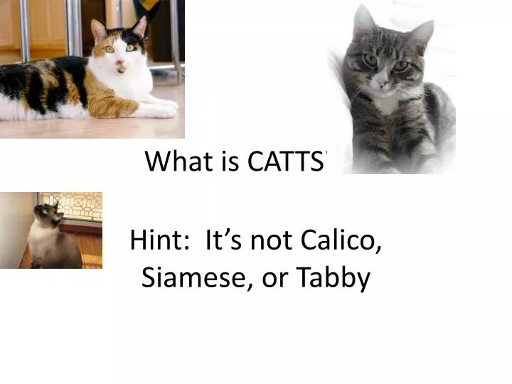 what is catts