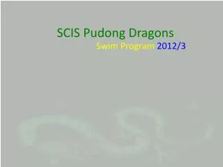 SCIS Pudong Dragons