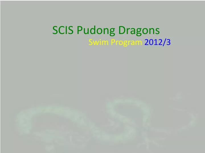 scis pudong dragons