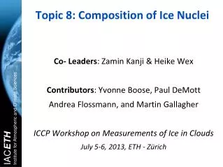 Topic 8: Composition of Ice Nuclei