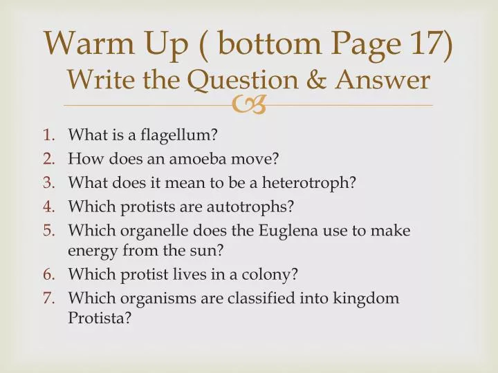 warm up bottom page 17 write the question answer