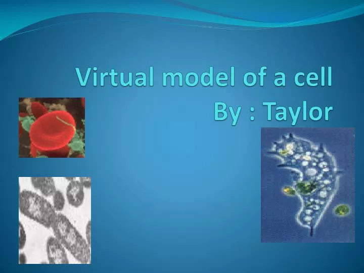 virtual model of a cell by taylor