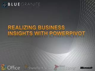 Realizing Business Insights with PowerPivot
