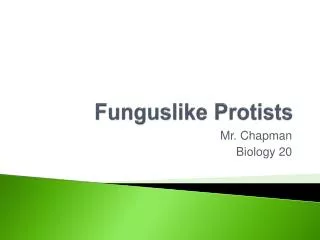 Funguslike Protists